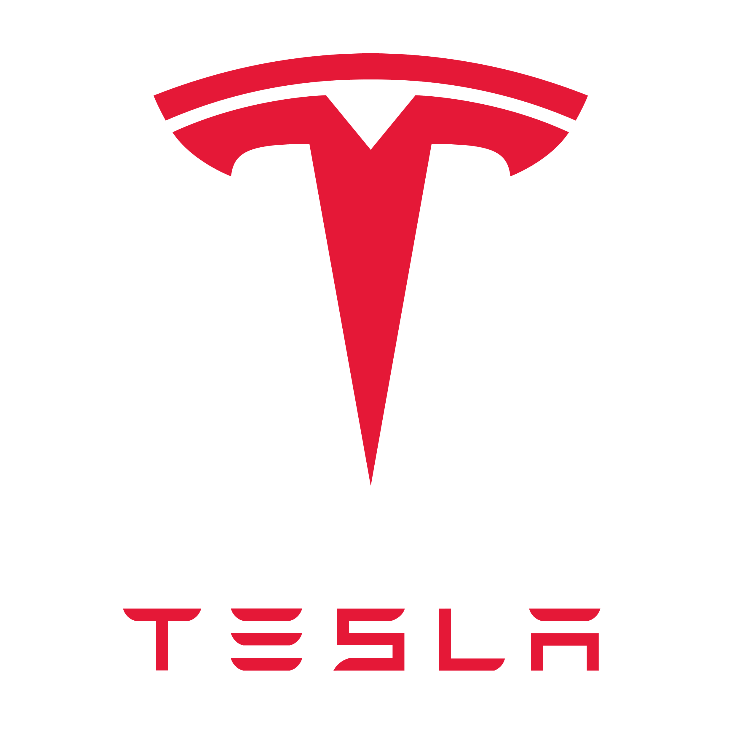 Elitarion technology partner